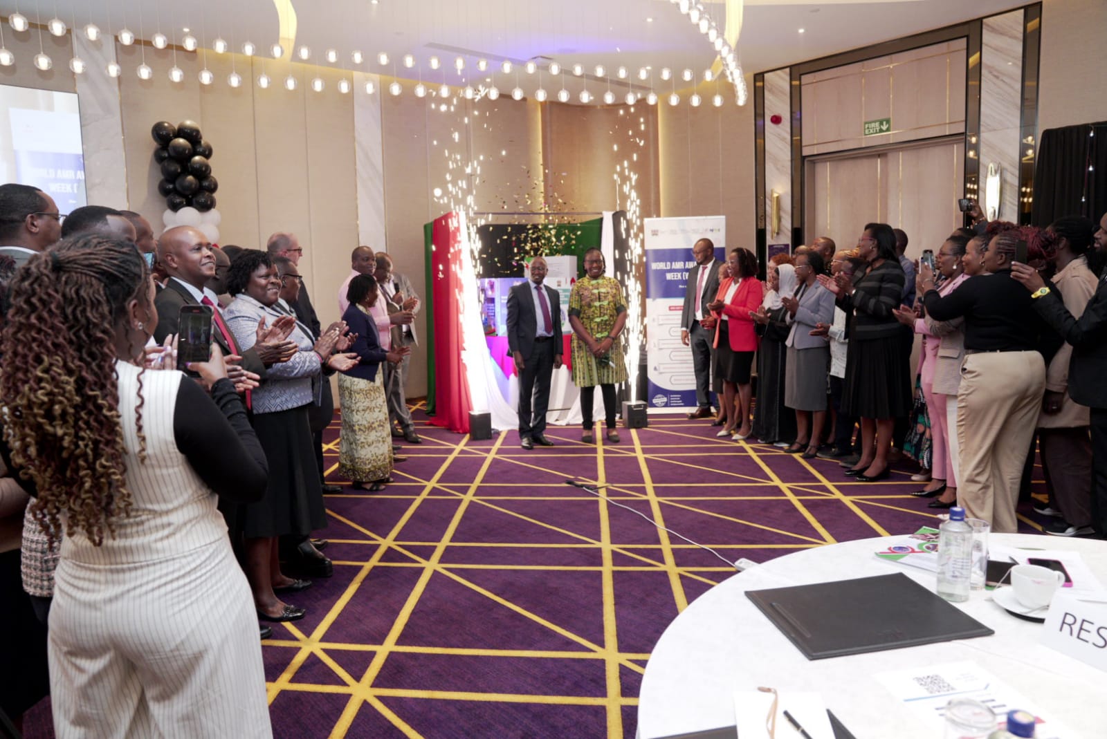 Launch of resources for AMR 2025